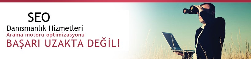 seo-danismanligi
